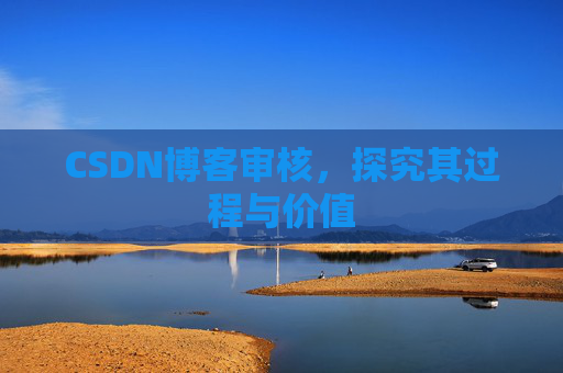 CSDN博客审核,探究其过程与价值